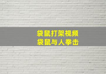 袋鼠打架视频 袋鼠与人拳击